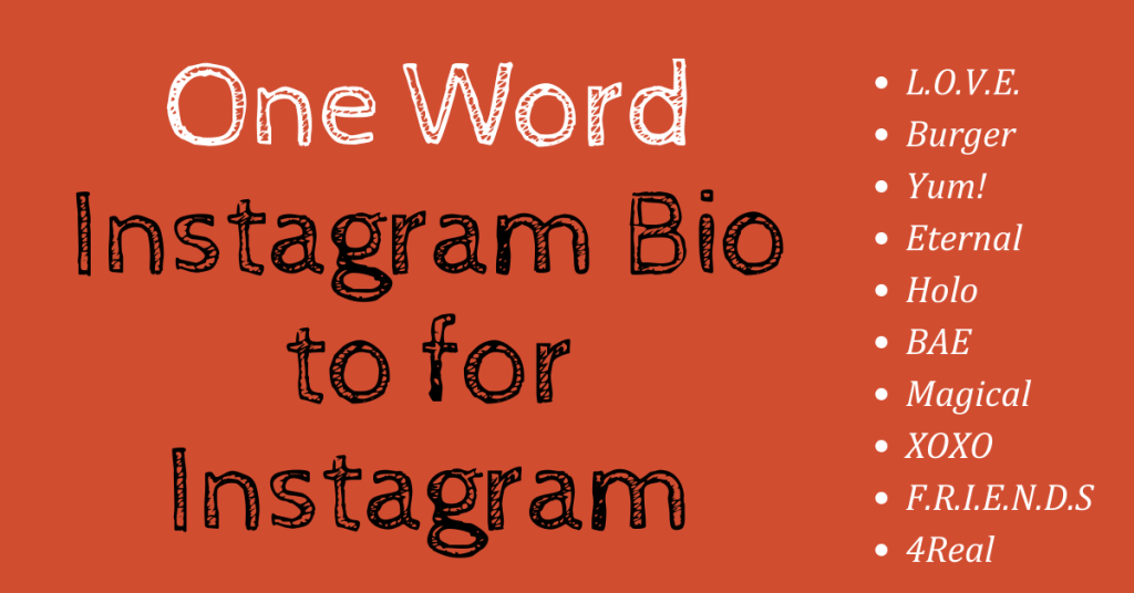 one-word-instagram-captions-bio-to-impress-your-followers-insta-bio-pro