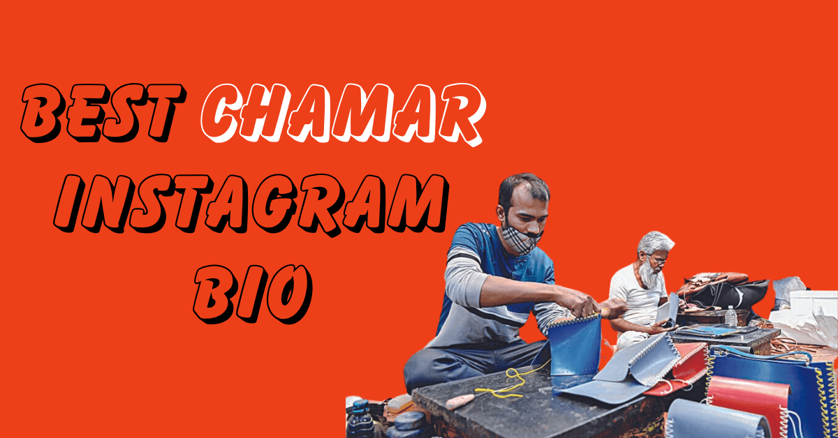Best Chamar Instagram Bio