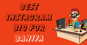Best Instagram Bio for Baniya