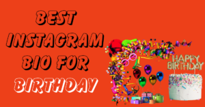 Best Instagram Bio for birthday