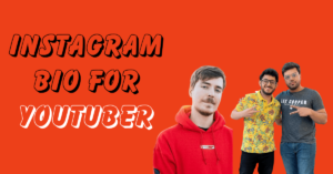 Instagram Bio for Youtuber