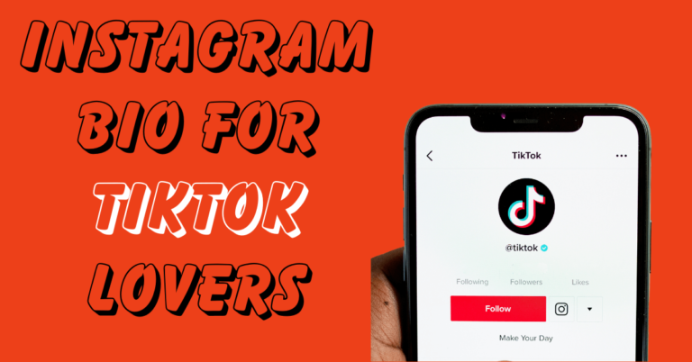 comment mettre instagram en bio tiktok